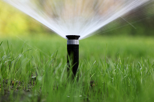 Photo of sprinkler watering grass