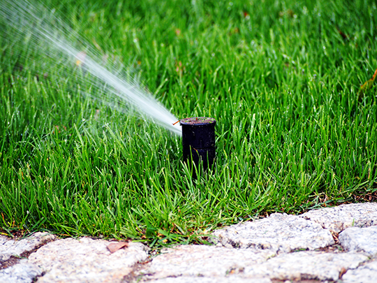 Sprinkler Maintenance Service in Ft Lauderdale, FL - Spillers Sprinklers