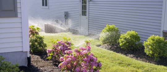 Photo of sprinklers watering side lawn